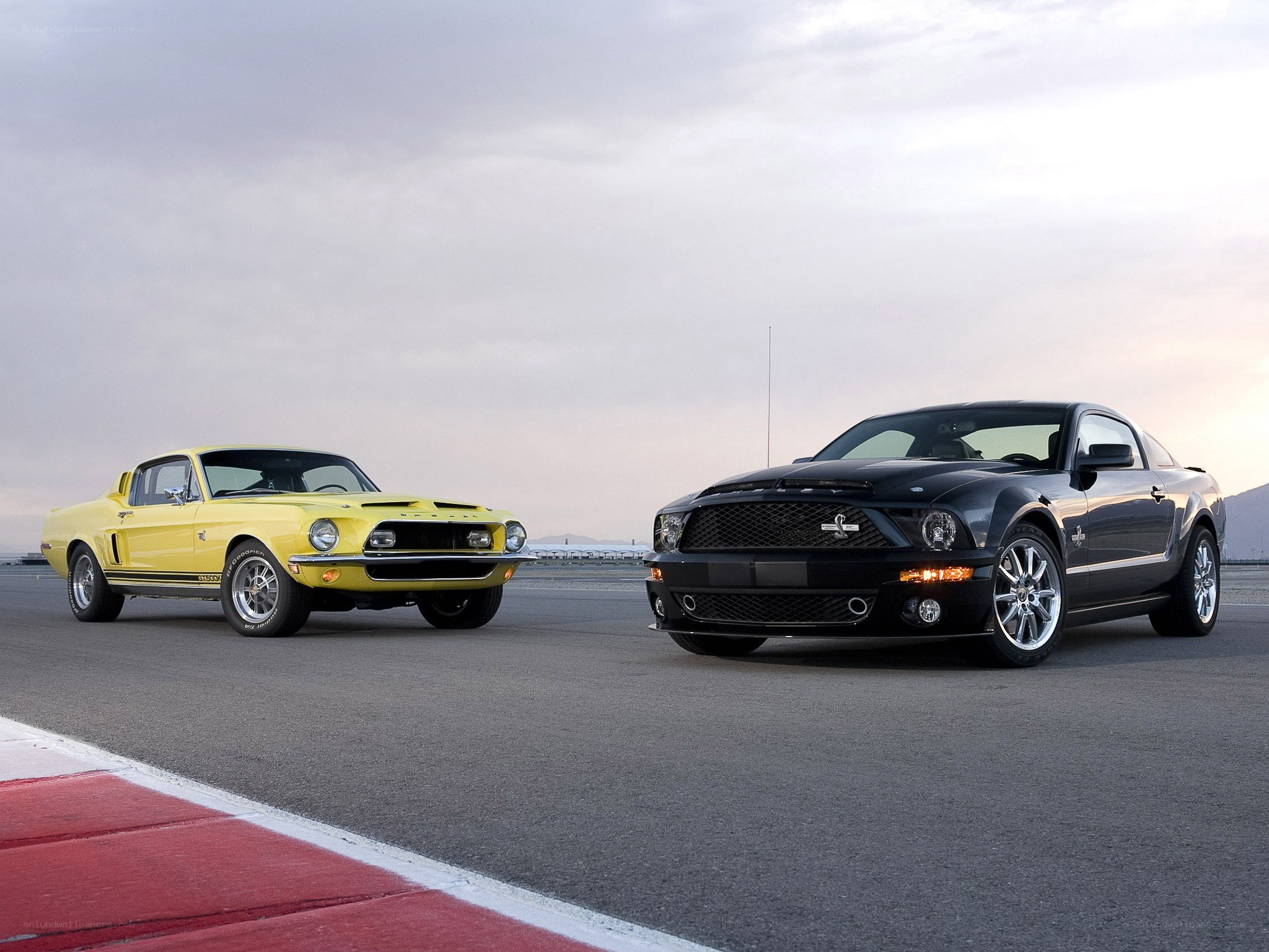 Classic and modern Mustangs