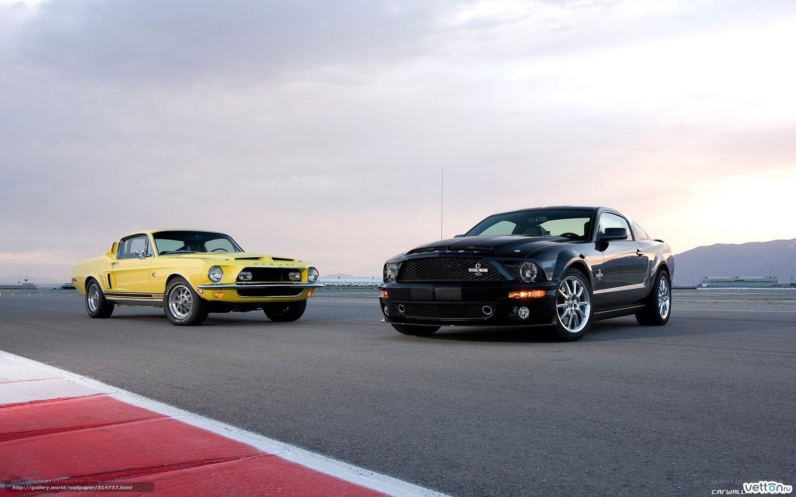 Classic and modern Mustangs on track
