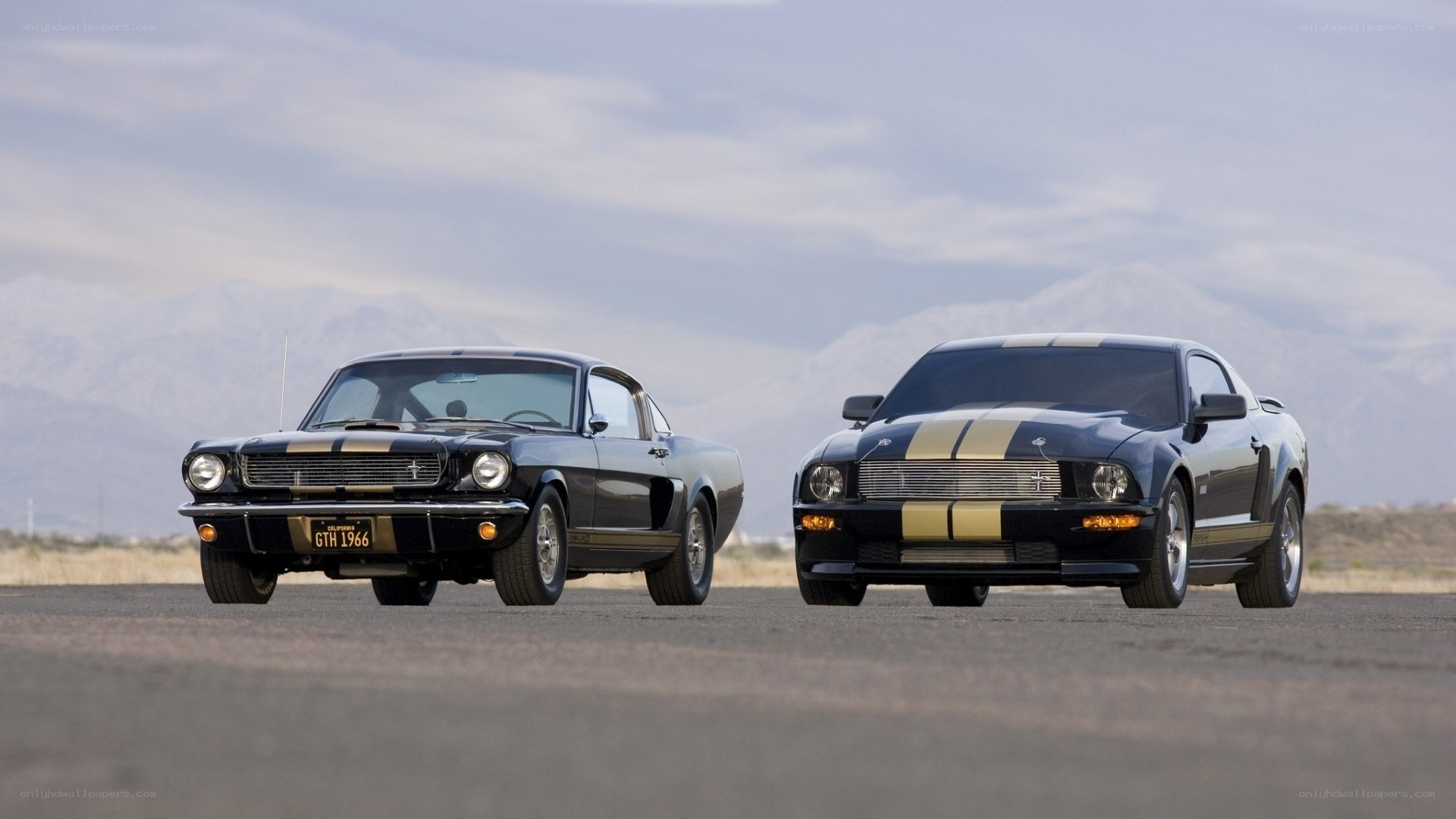 Classic and modern Mustangs side by side