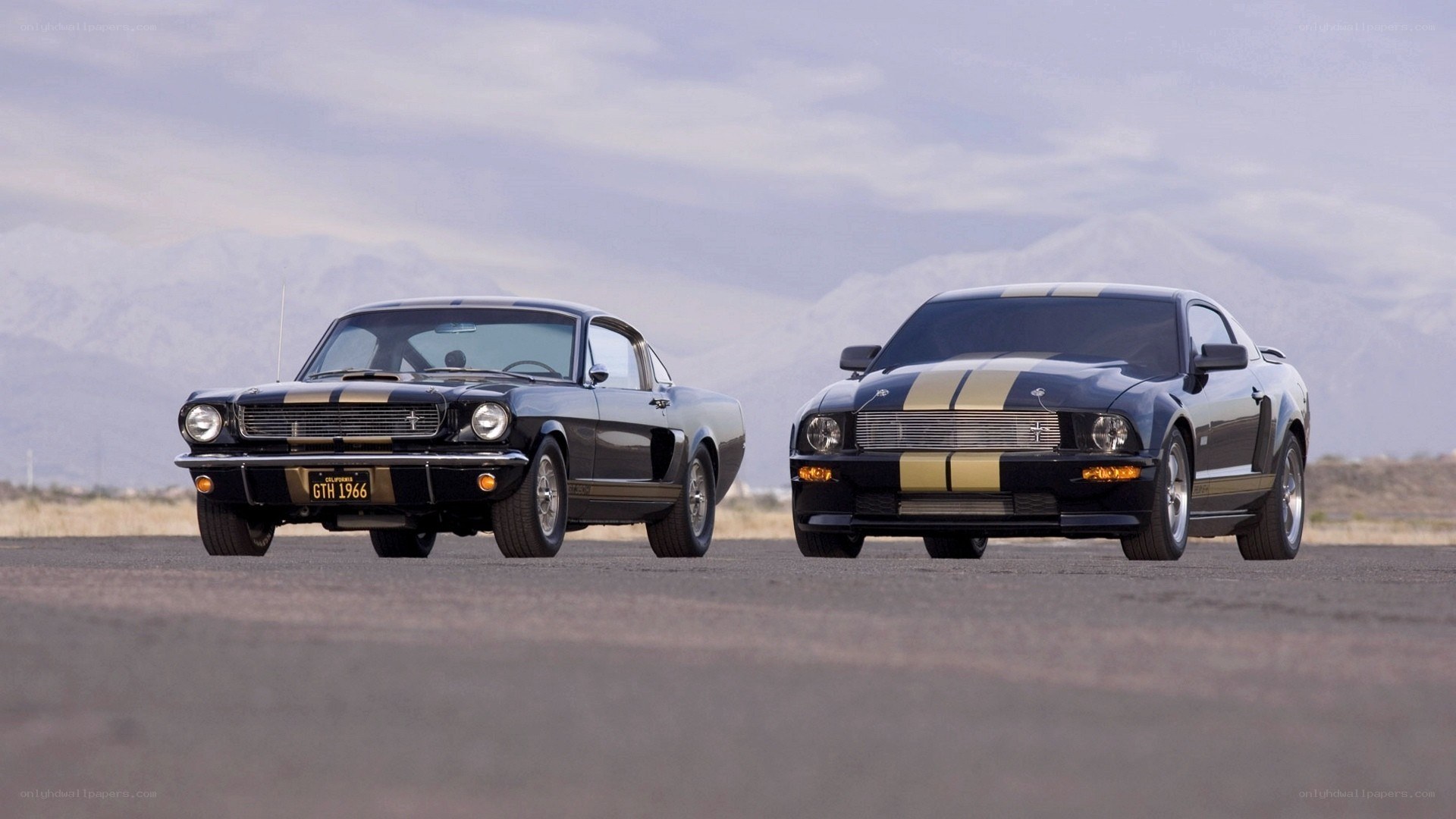 Classic and modern Mustangs side by side