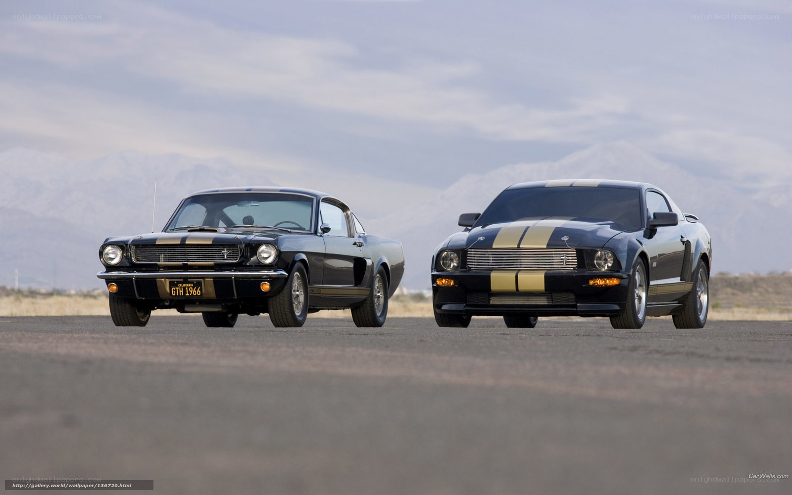 Classic and modern Mustangs