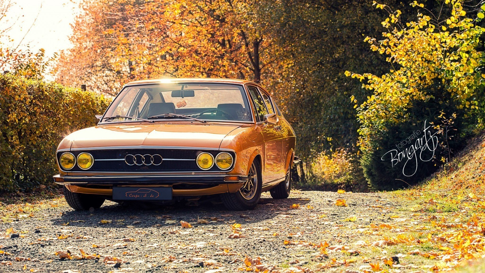 Classic Audi in autumn setting