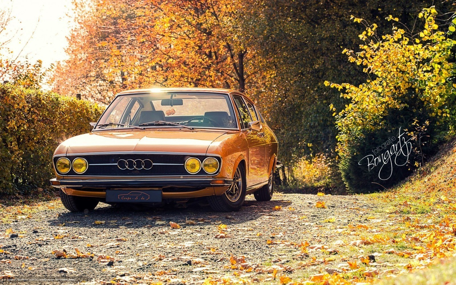 Classic Audi in autumn