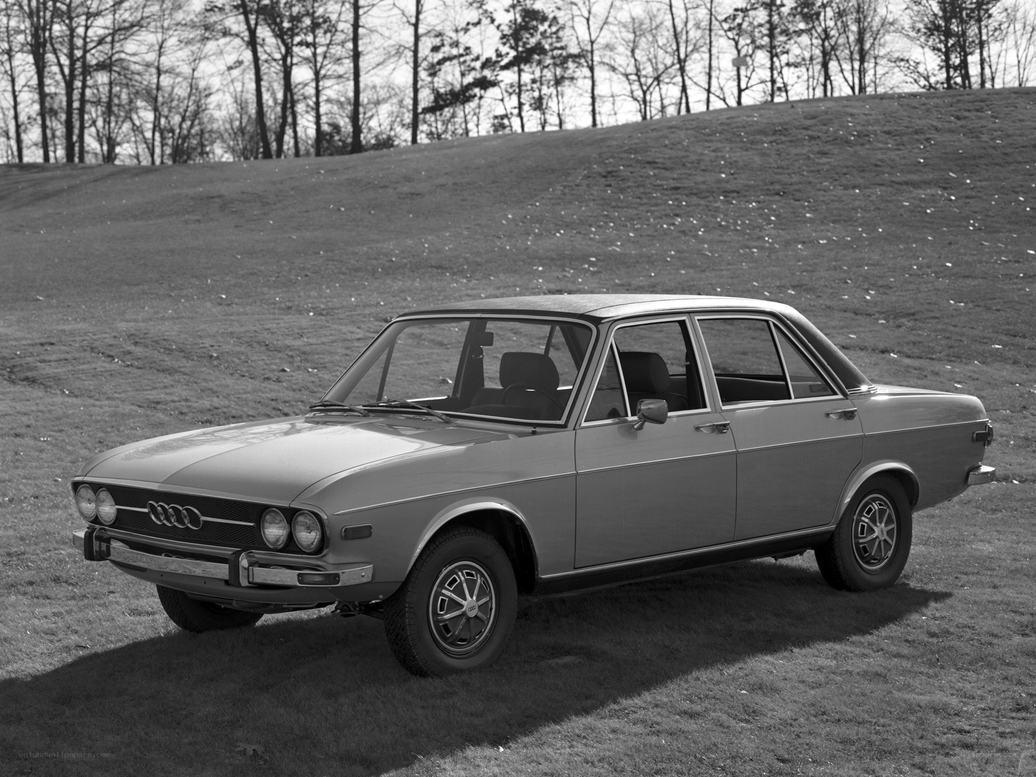 Classic Audi sedan on grass