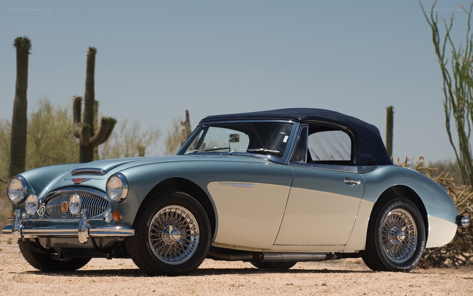 Classic Austin-Healey convertible
