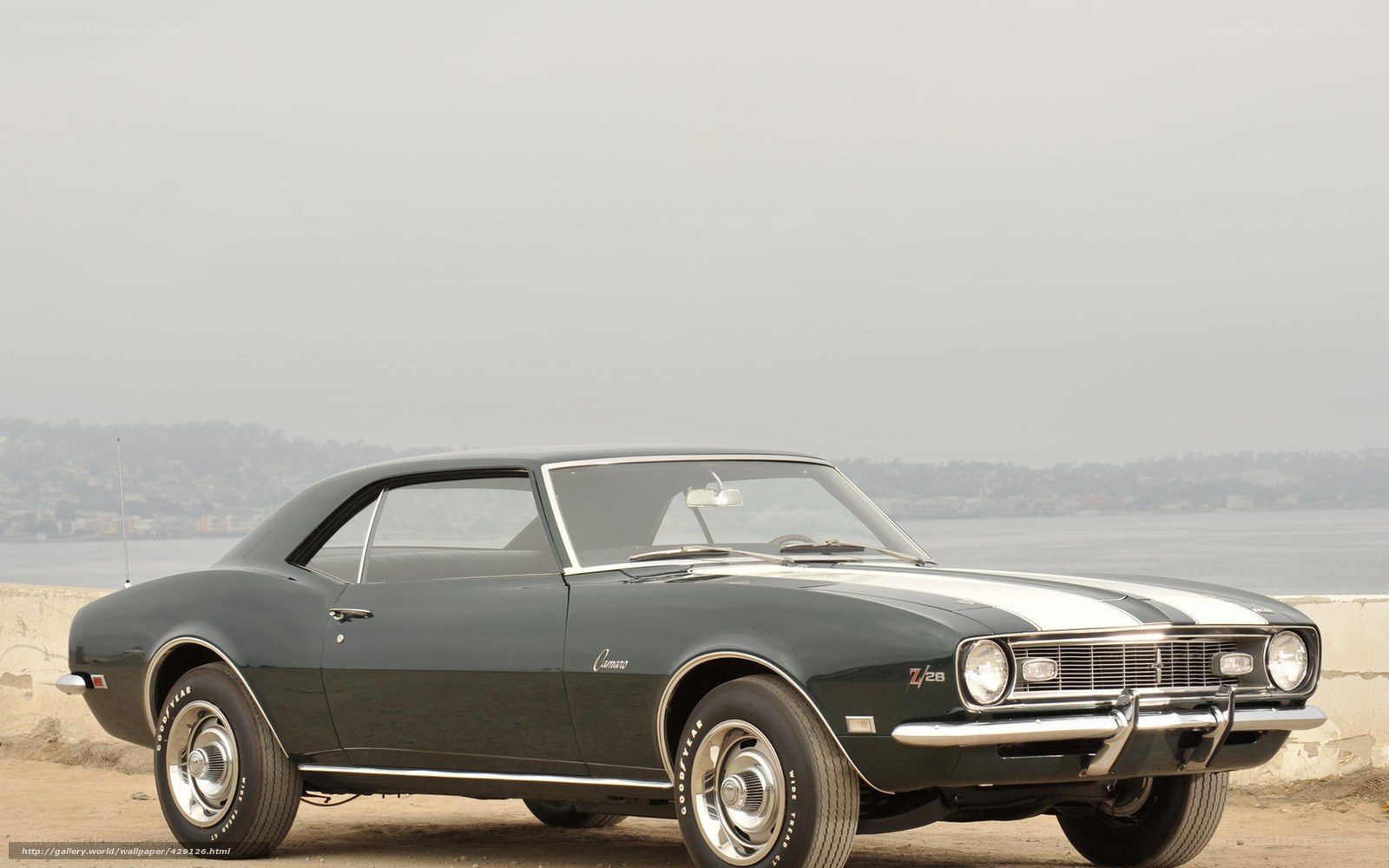 Classic black Camaro by the water