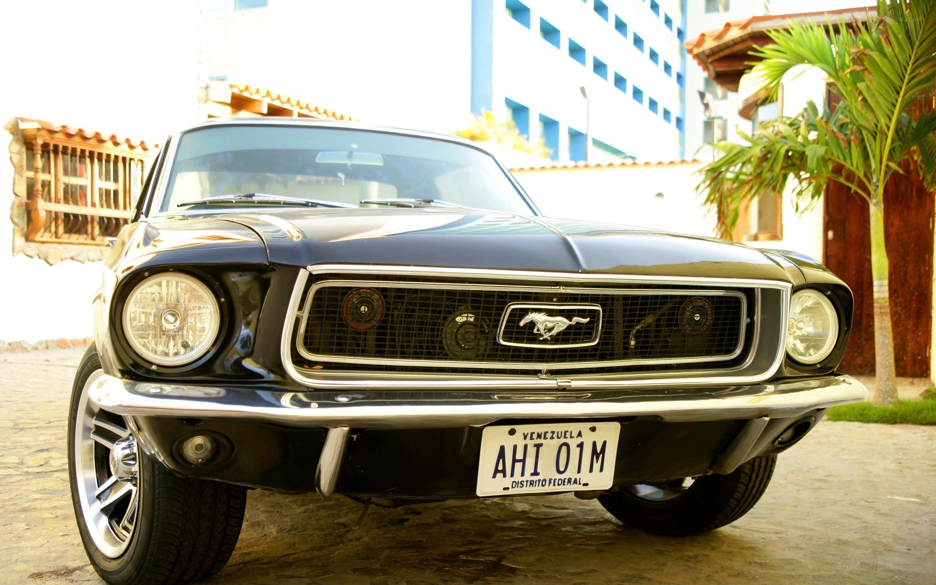 Classic black Ford Mustang