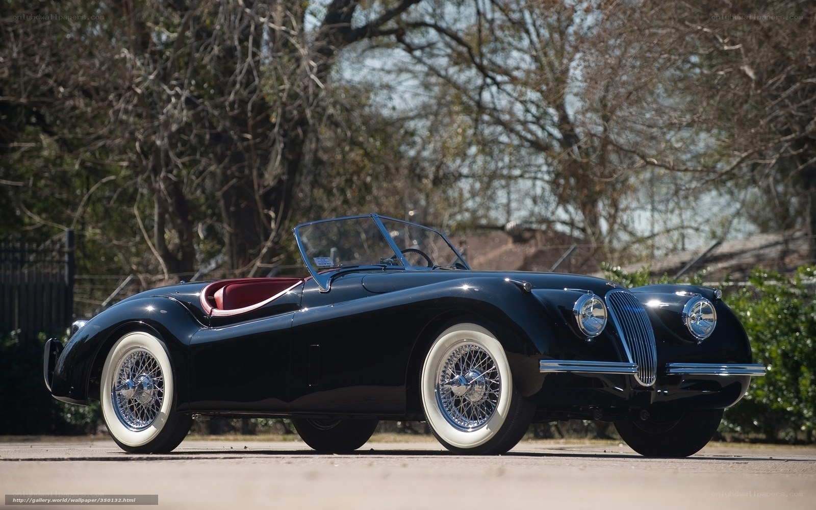 Classic black Jaguar convertible