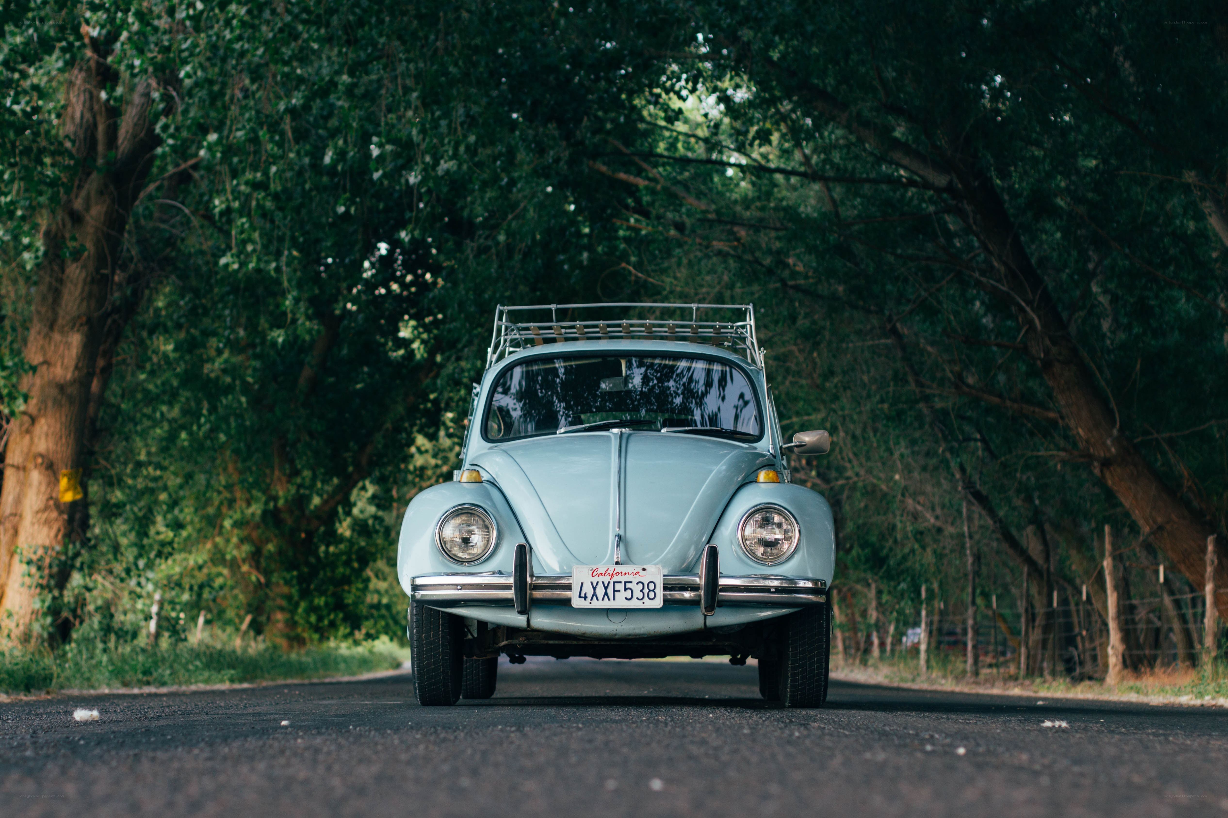 Classic blue Beetle on a tree-lined road