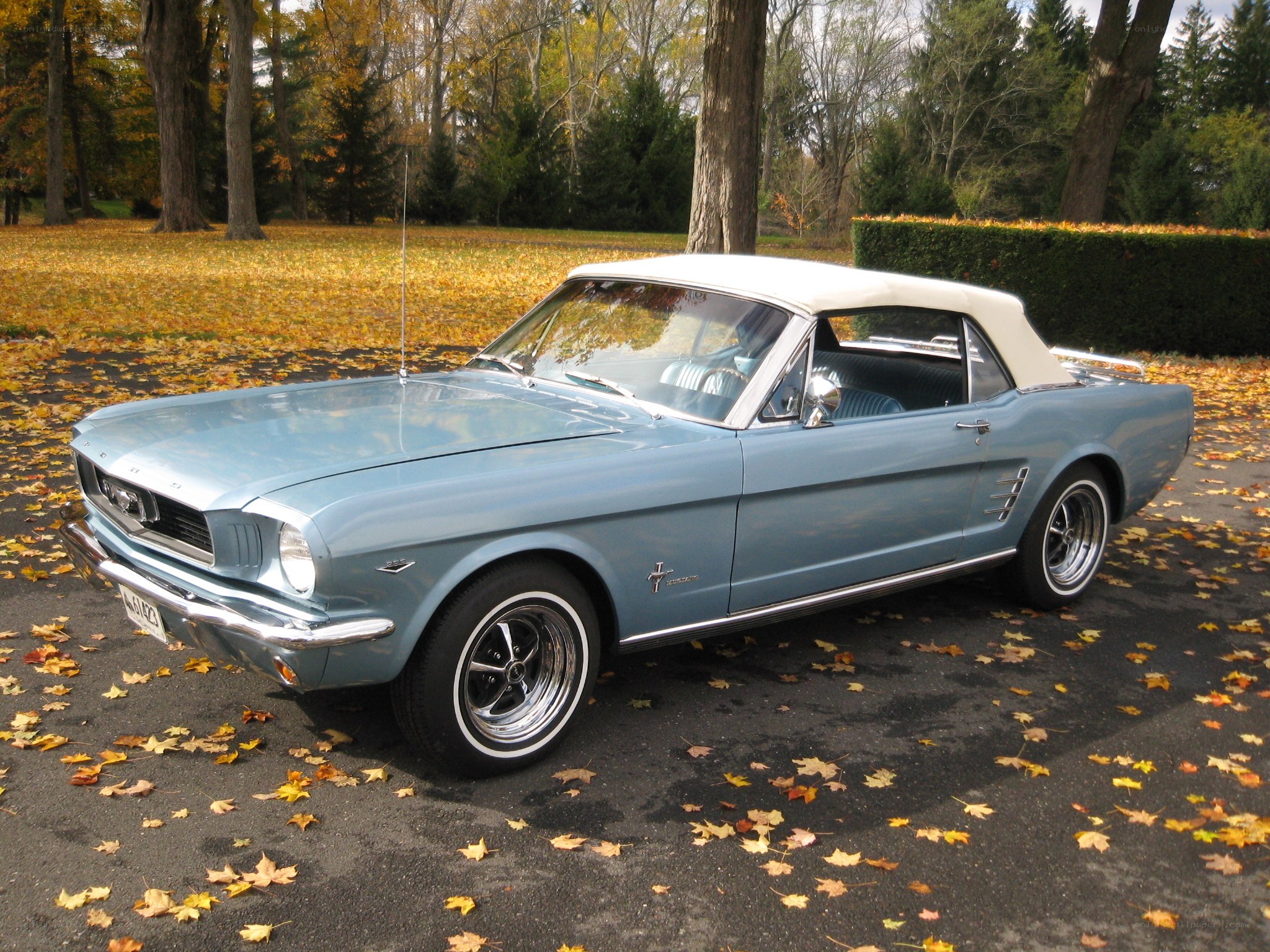 Classic blue convertible in autumn