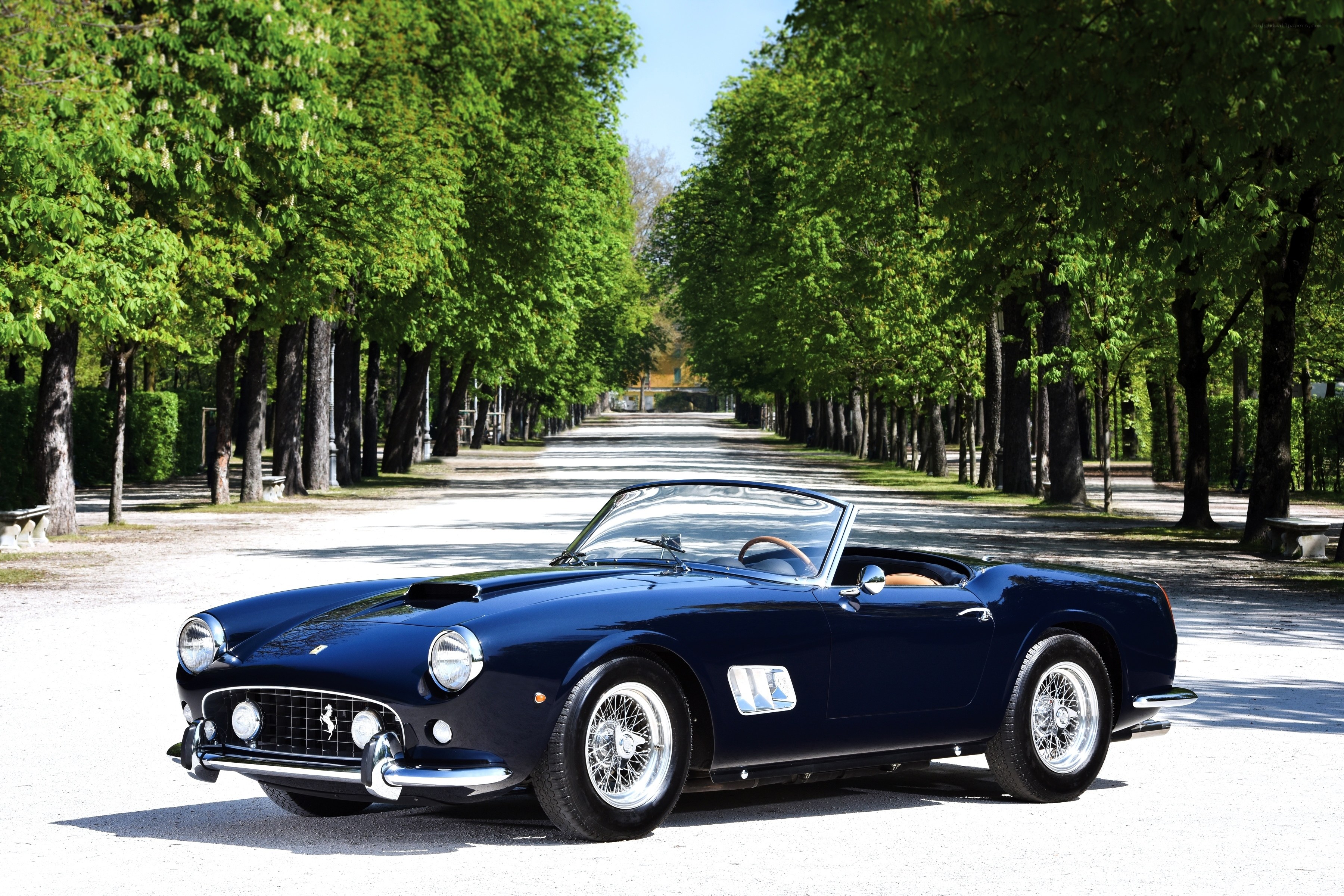 Classic blue Ferrari on a tree-lined path