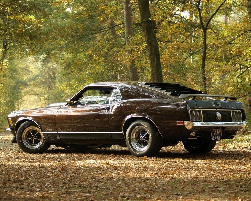 Classic brown muscle car in forest