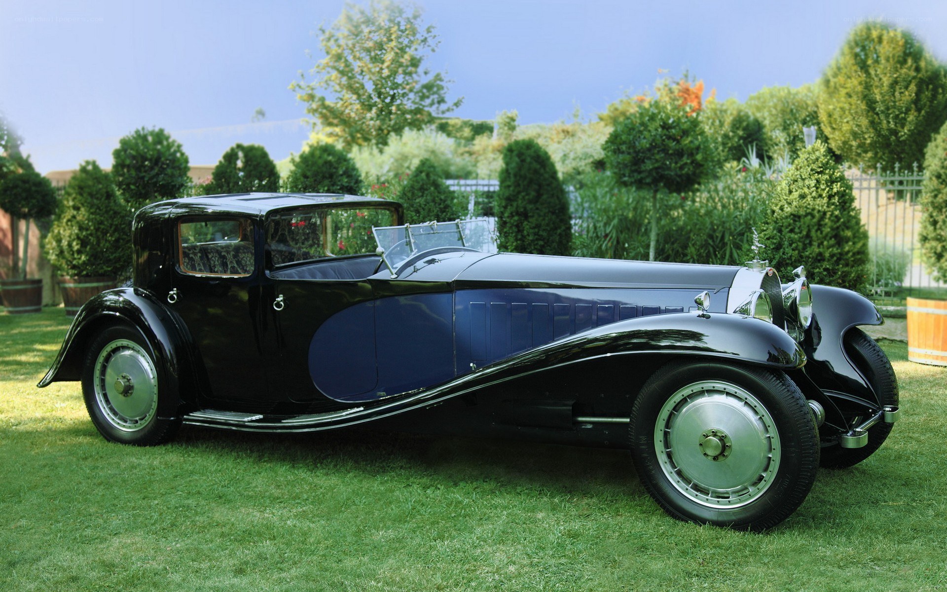 Classic Bugatti car on lawn