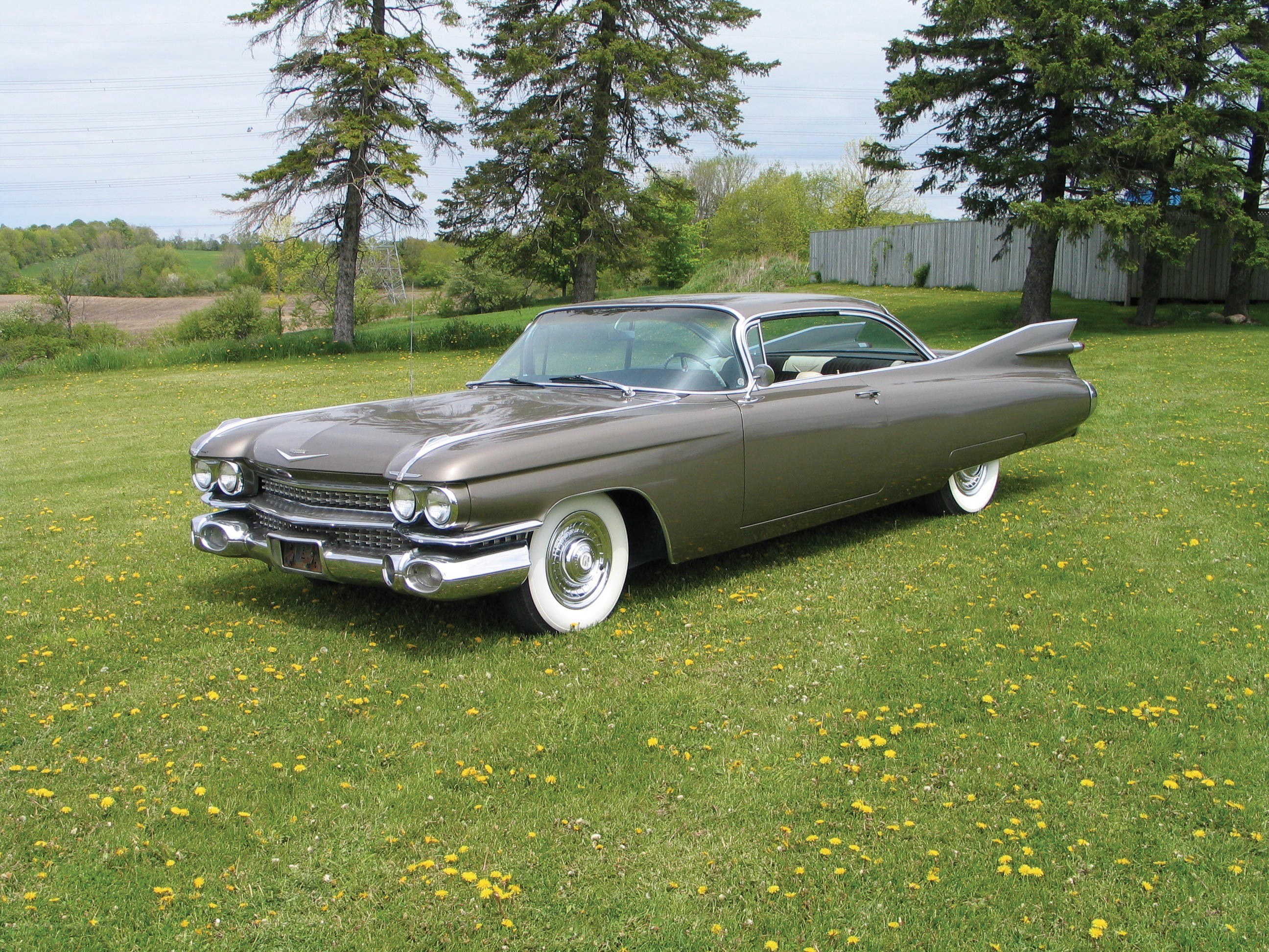 Classic Cadillac on a grassy field