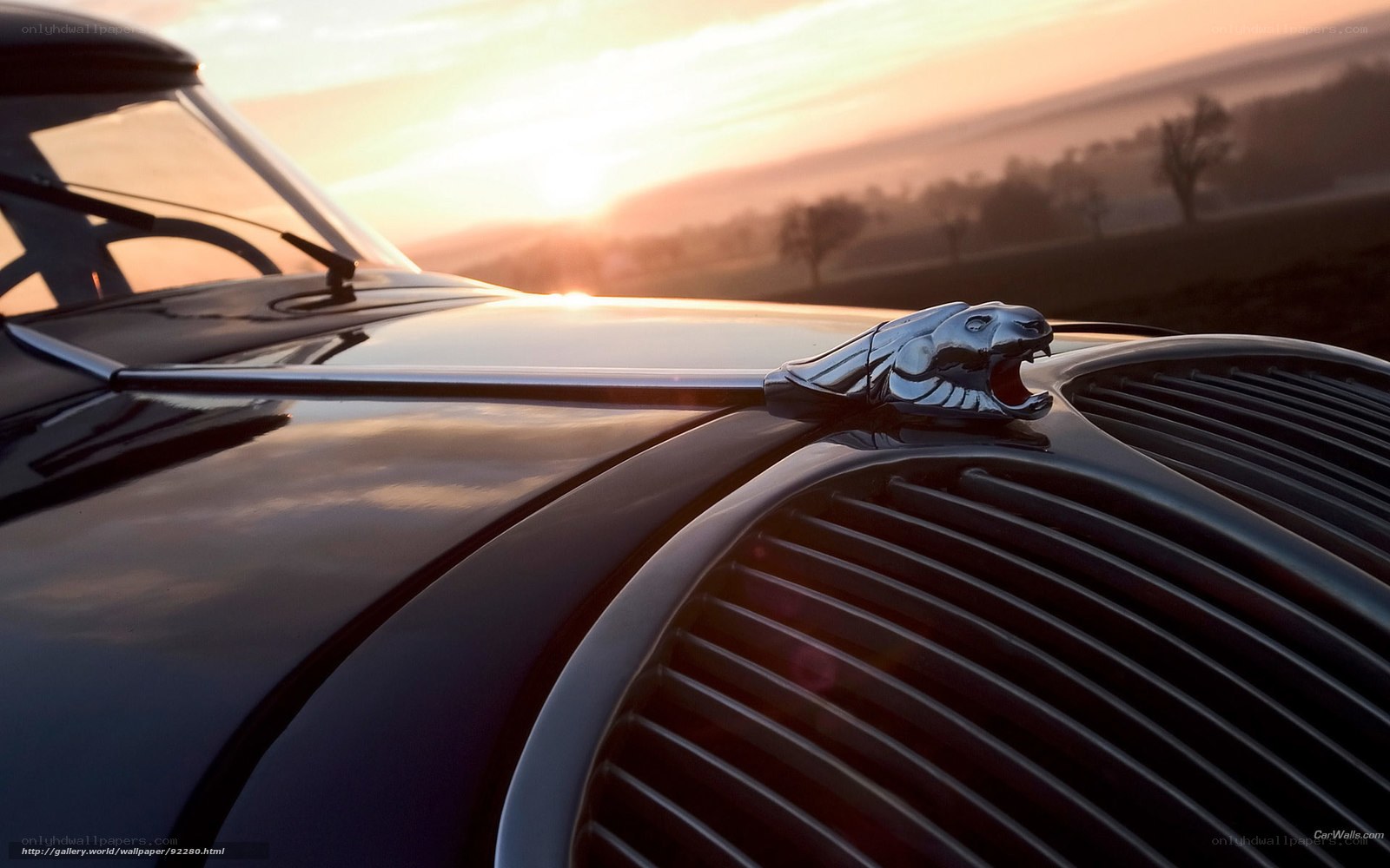 Classic car hood ornament