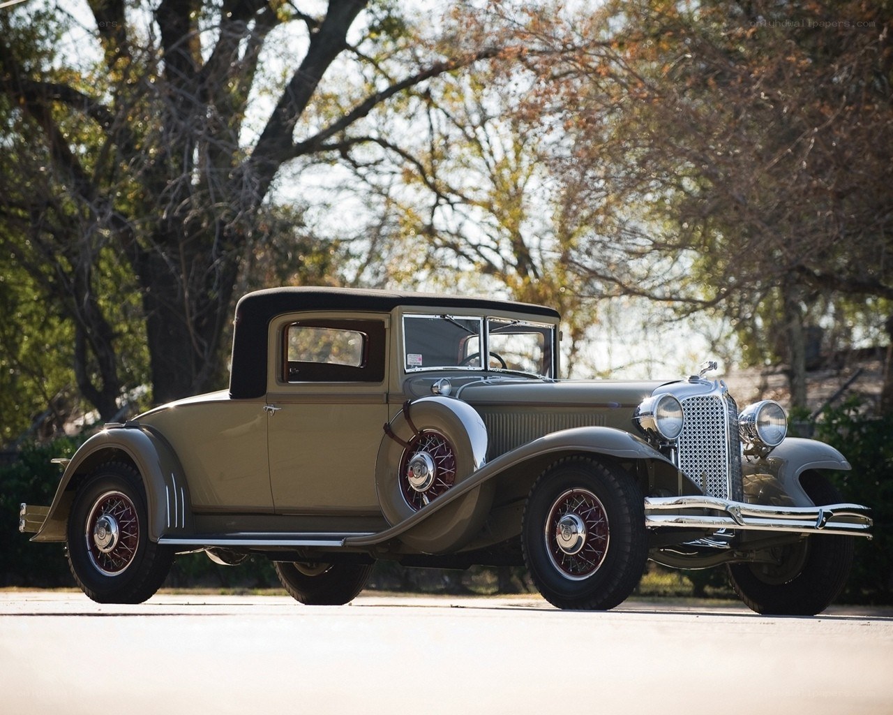 Classic car in a park