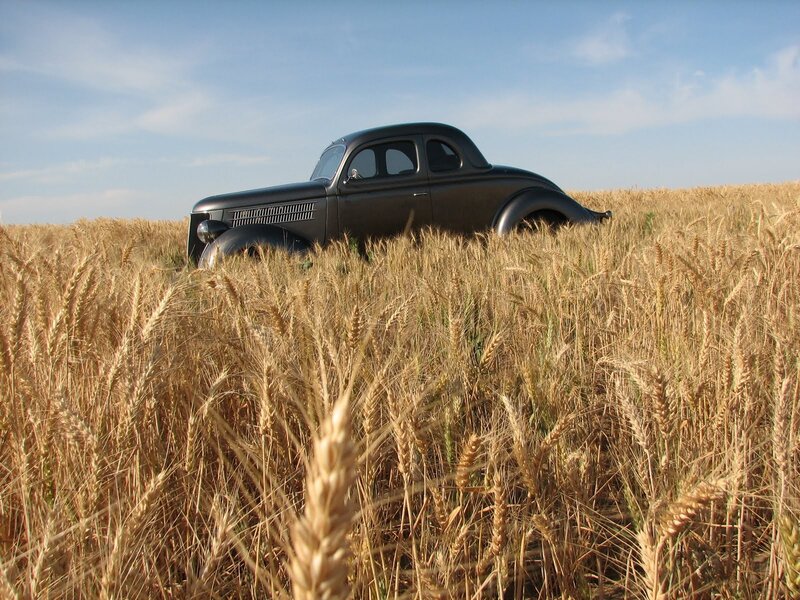 Classic car in a wheat field