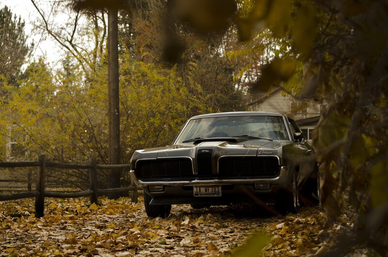 Classic Car in Autumn — Brown
