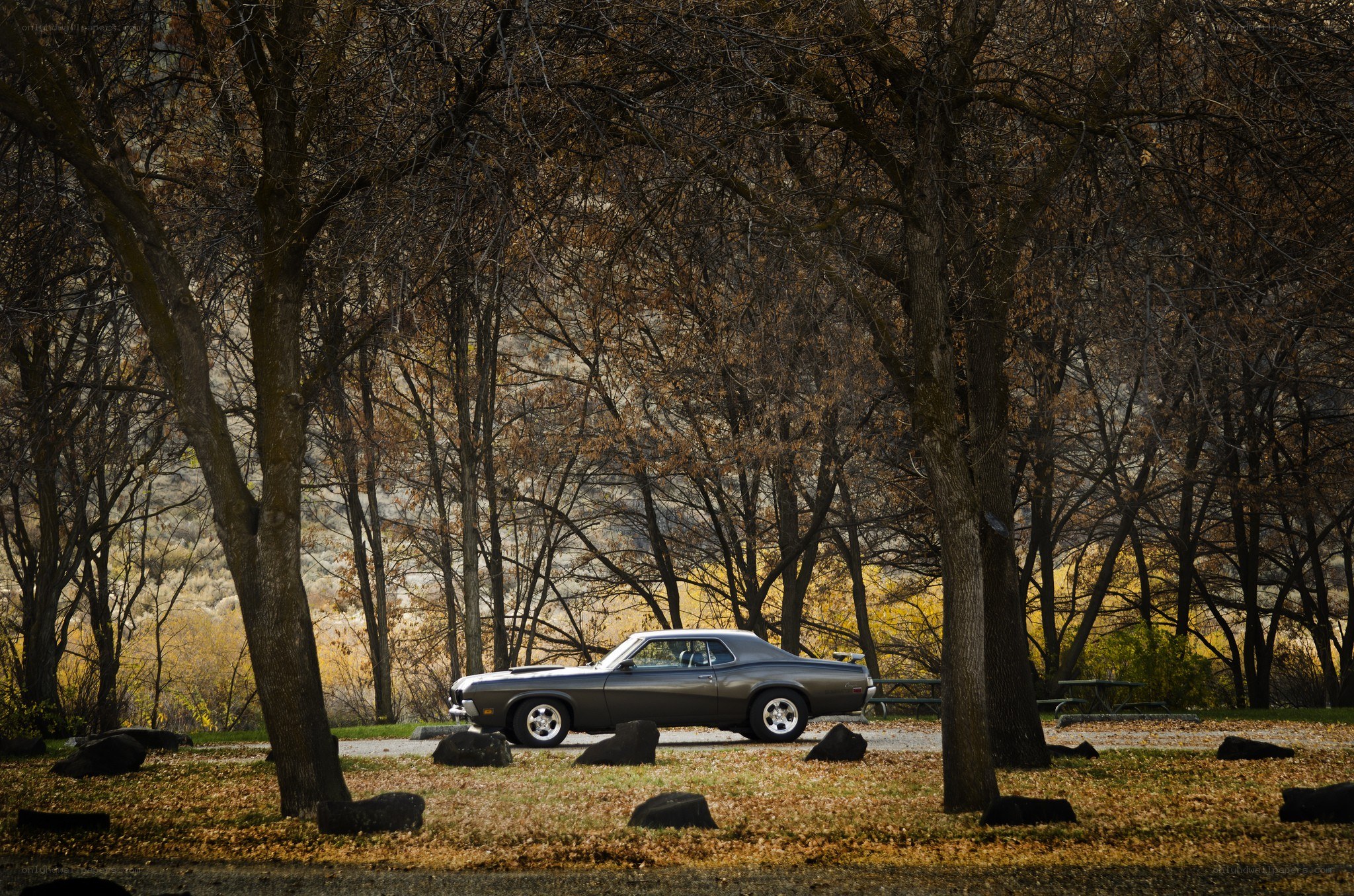 Classic car in autumn forest