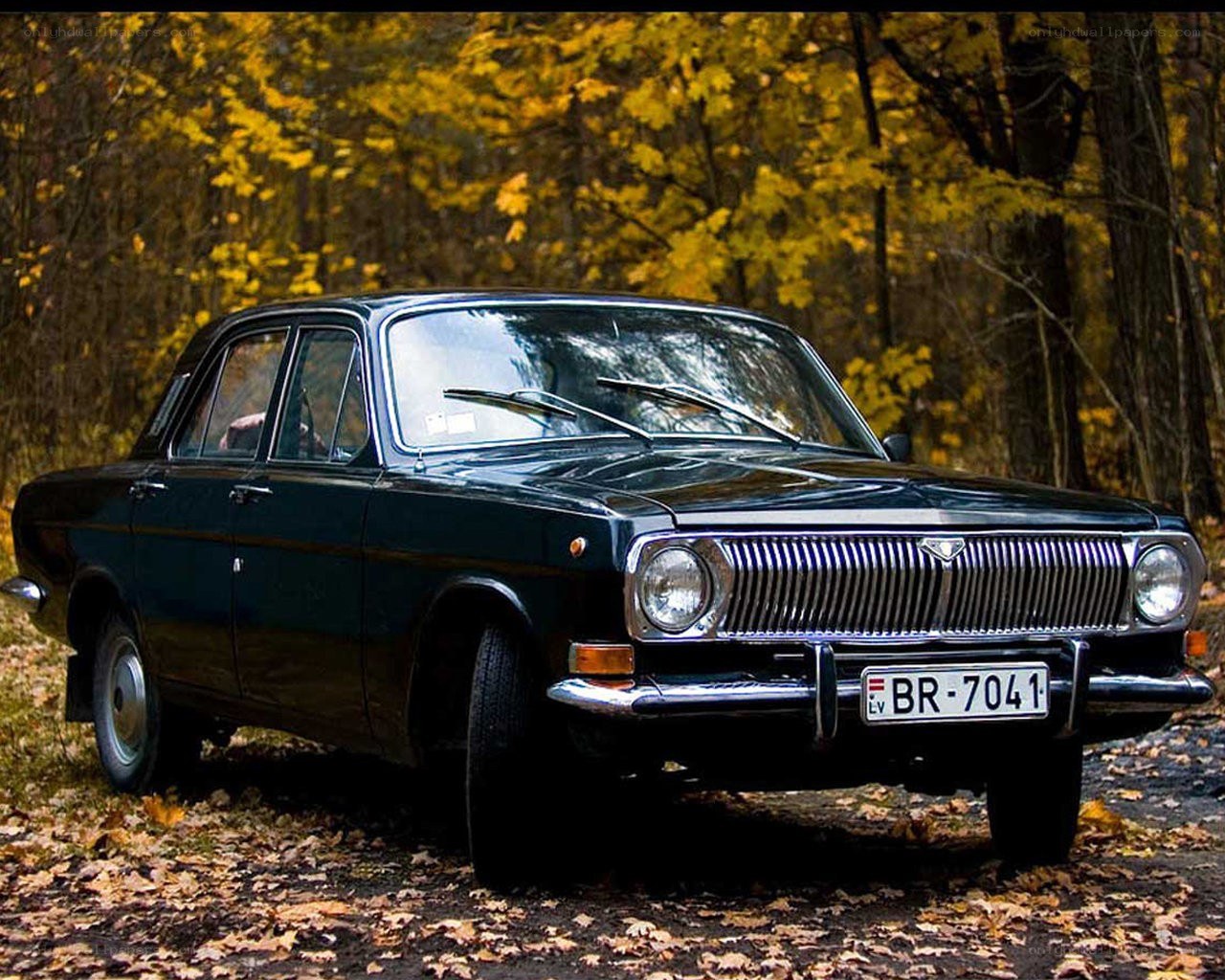 Classic car in autumn forest