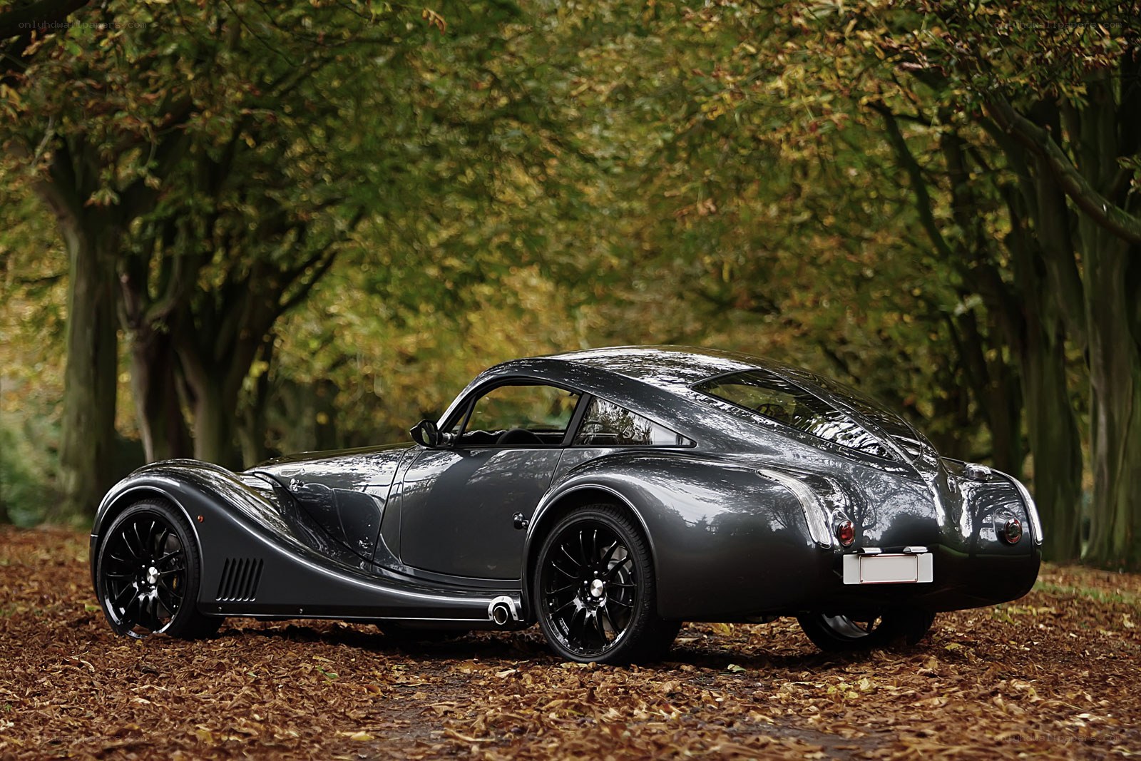 Classic car in autumn forest
