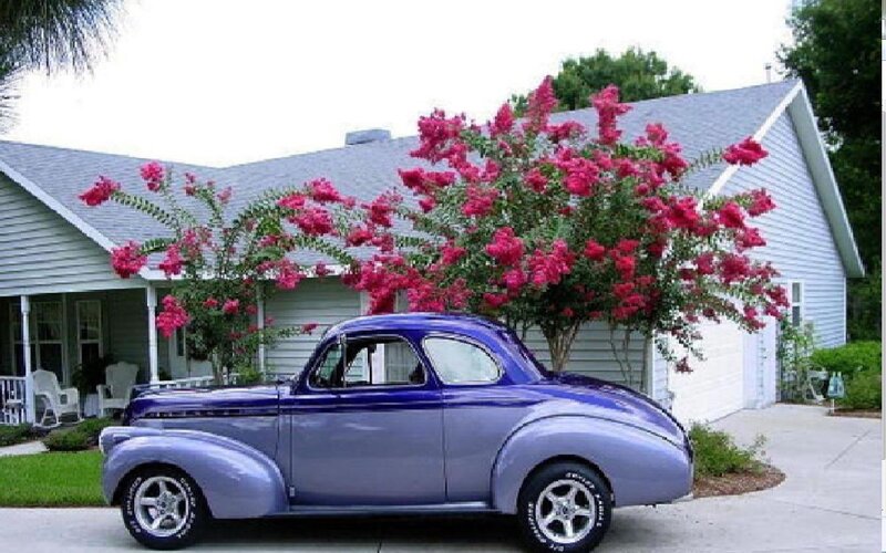 Classic Car in Driveway