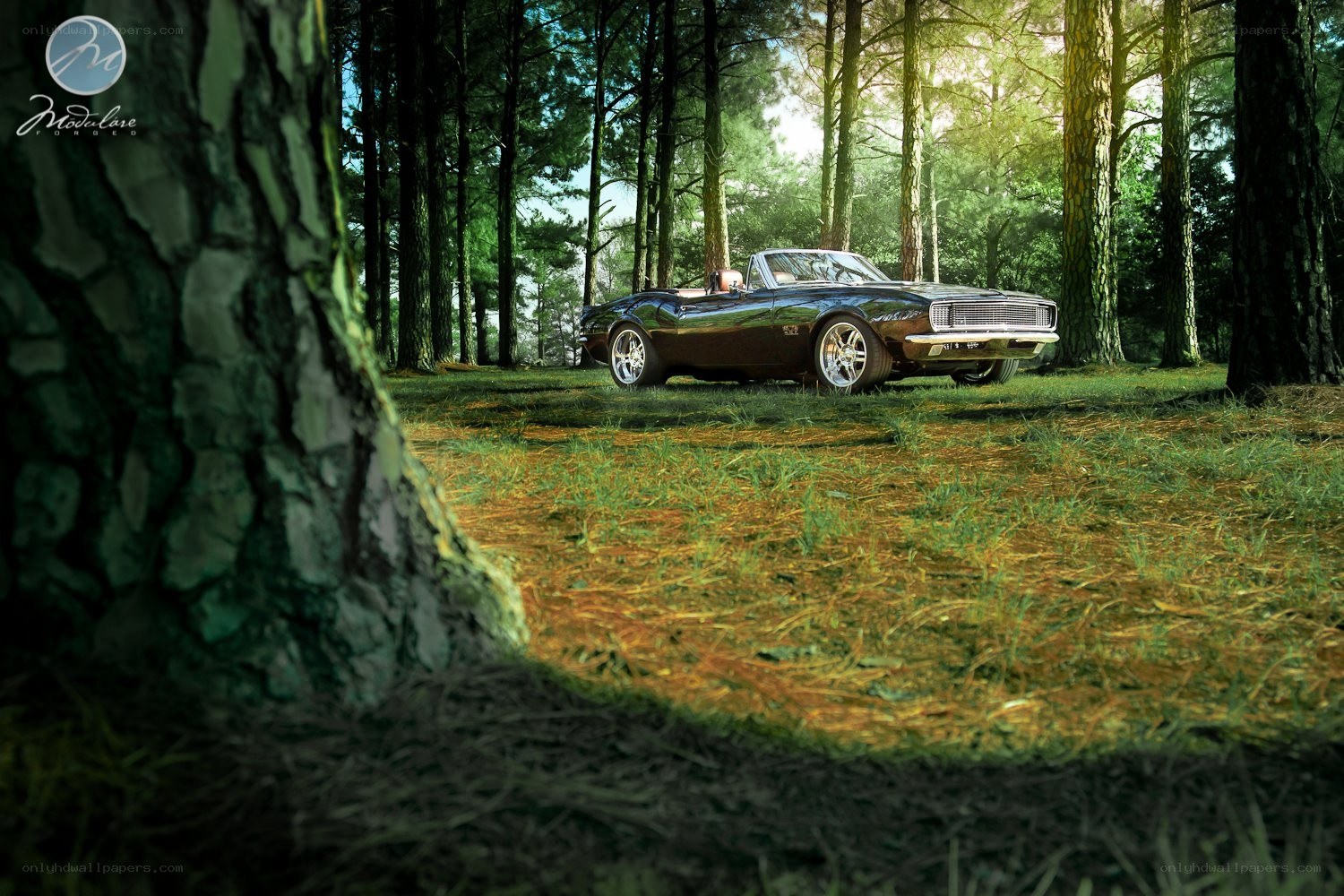 Classic car in forest clearing