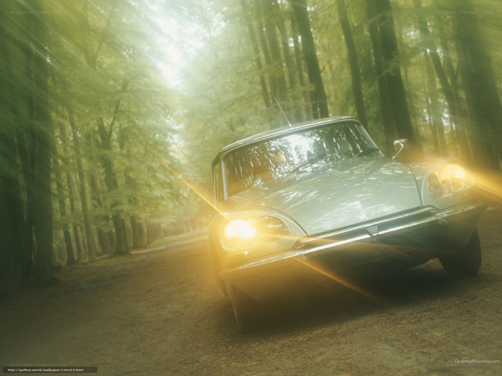 Classic car in forest sunlight