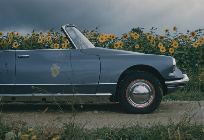 Classic car in sunflower field