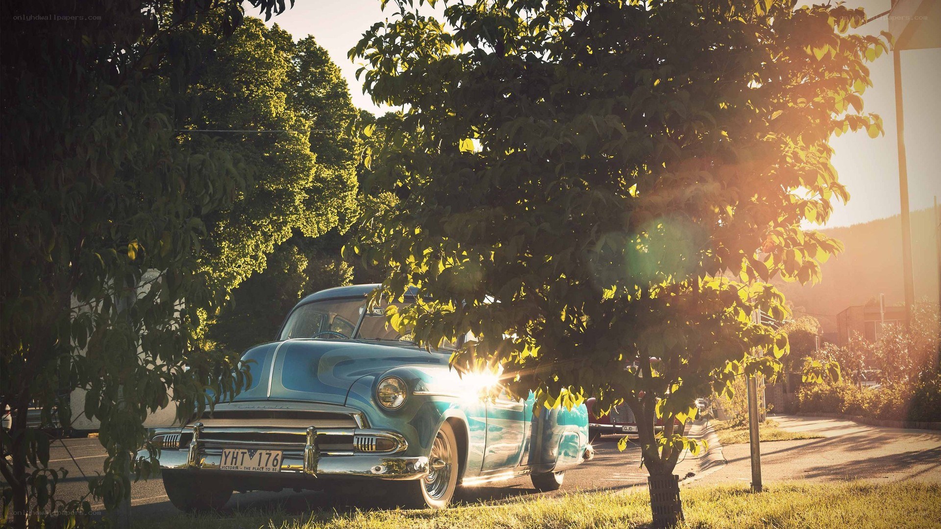 Classic car in sunlit trees