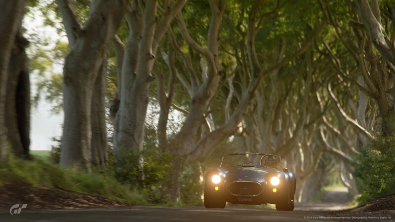 Classic Car on Tree-lined Road