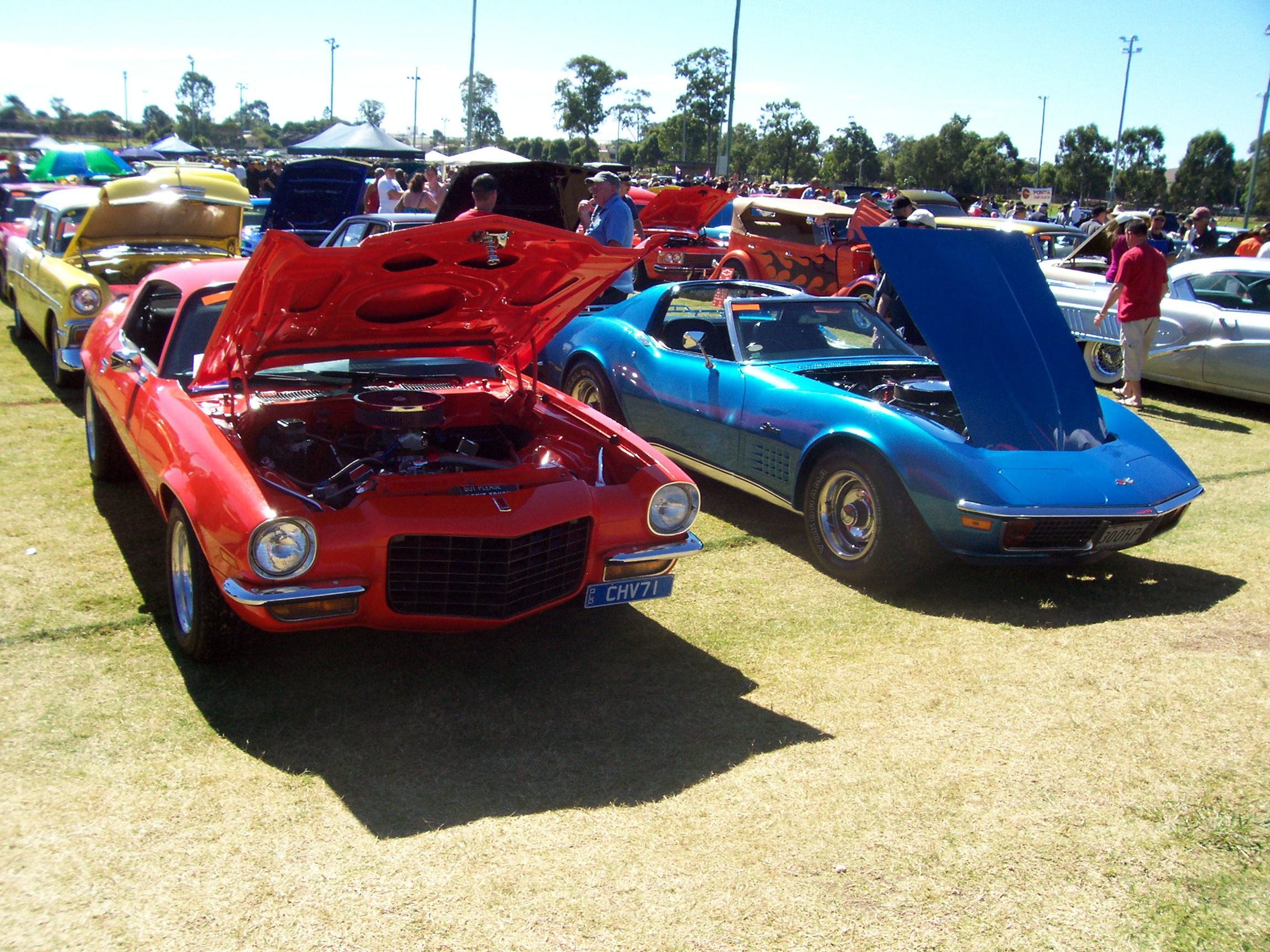 Classic car show display