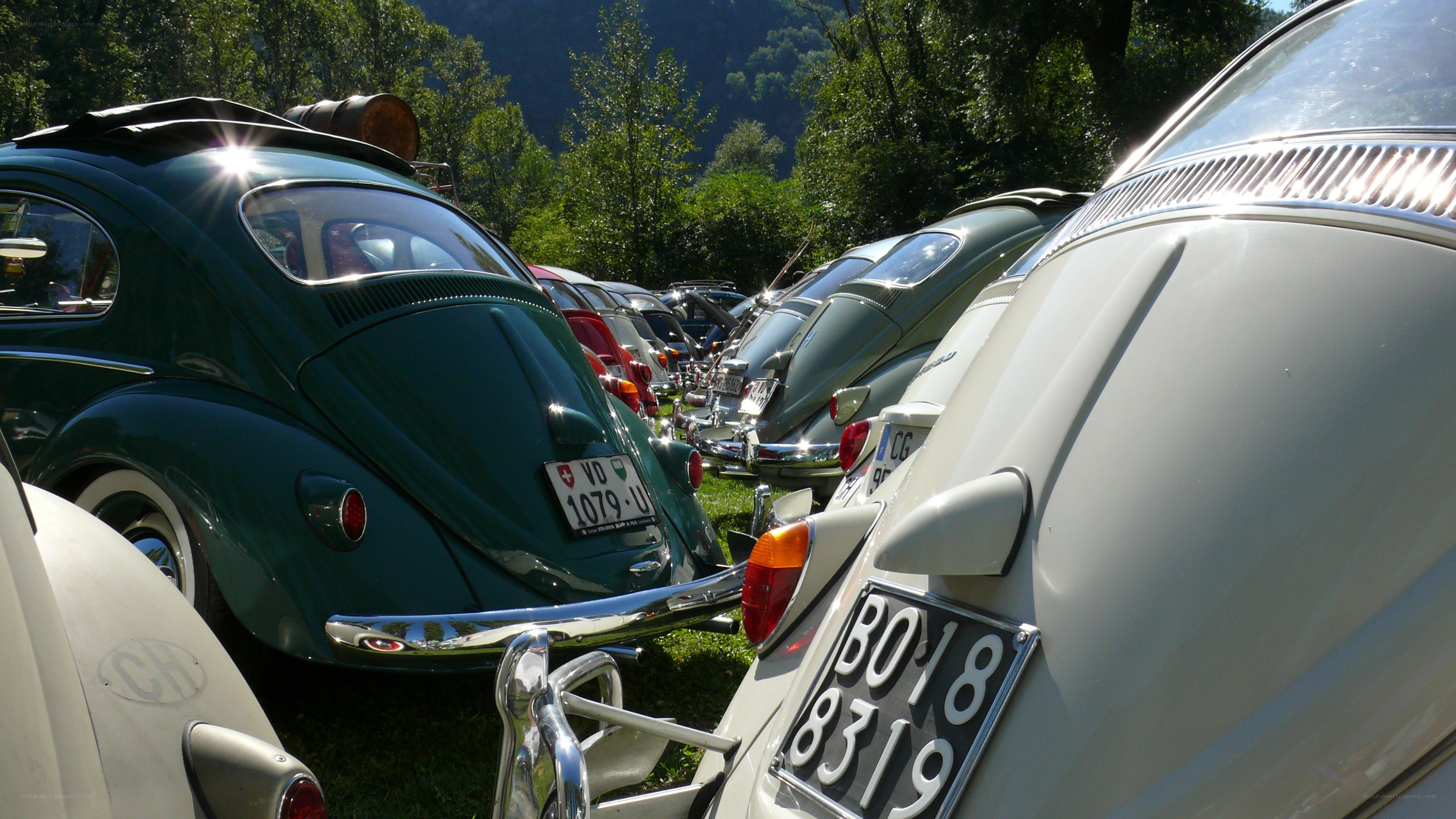 Classic car show in the sun