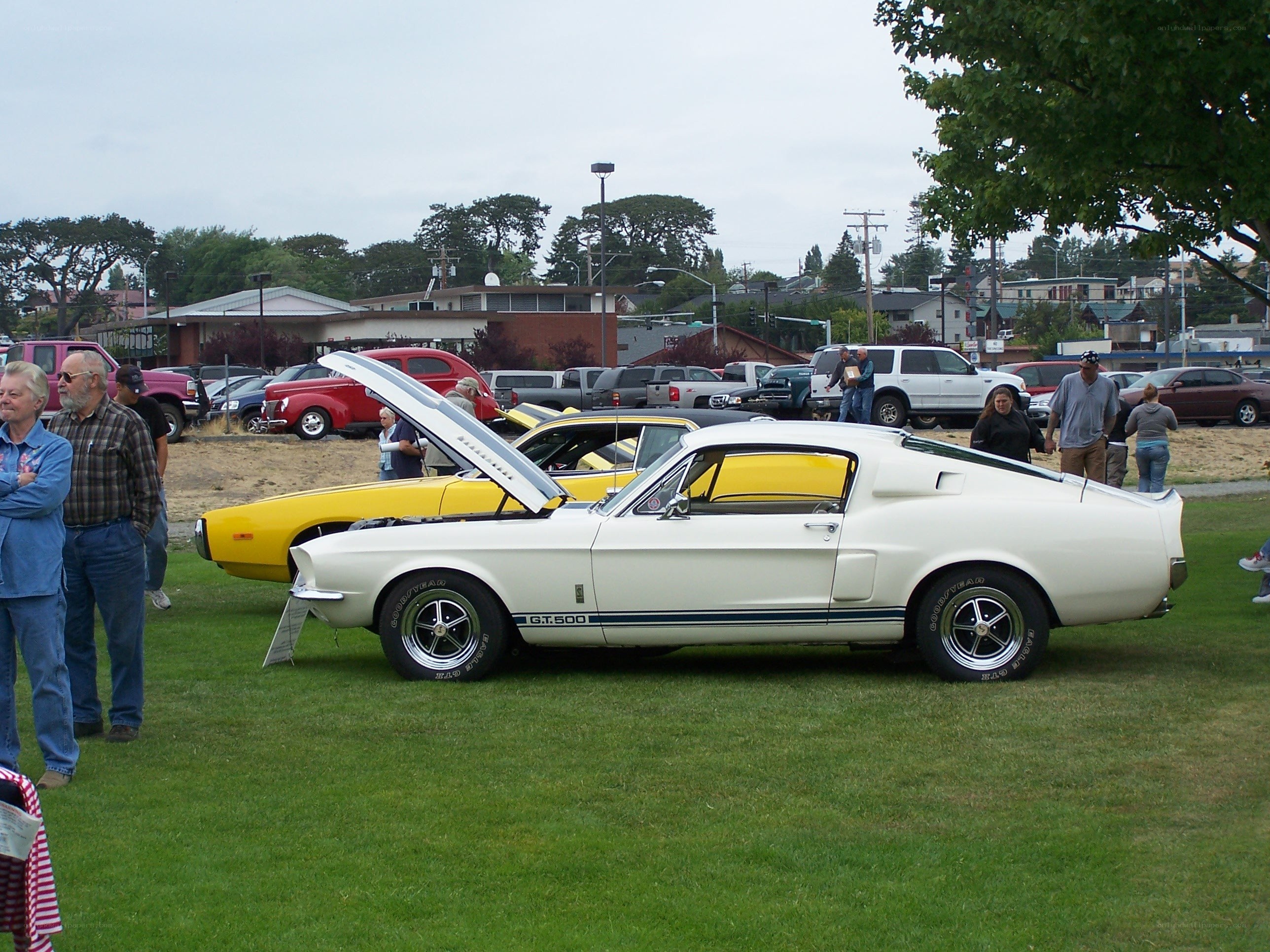 Classic car show on grass