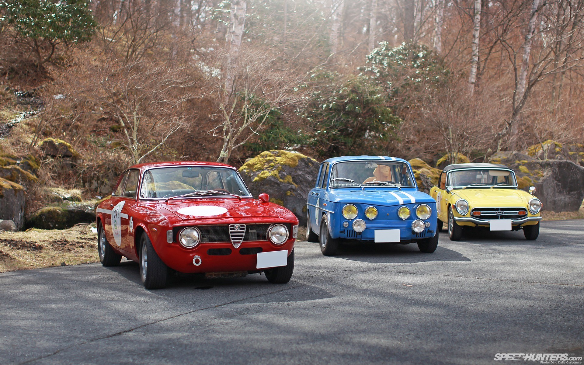 Classic cars in a forest