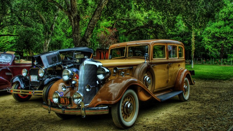 Classic cars in a park