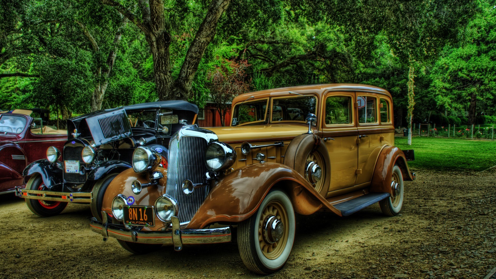 Classic cars in a park