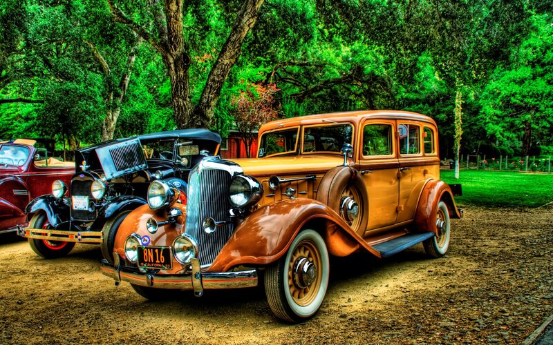 Classic cars in a park