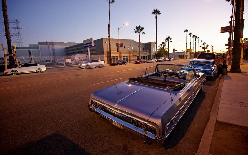 Classic cars on a palm-lined street
