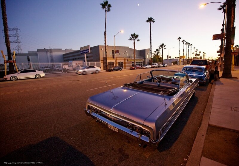 Classic cars on a palm-lined street