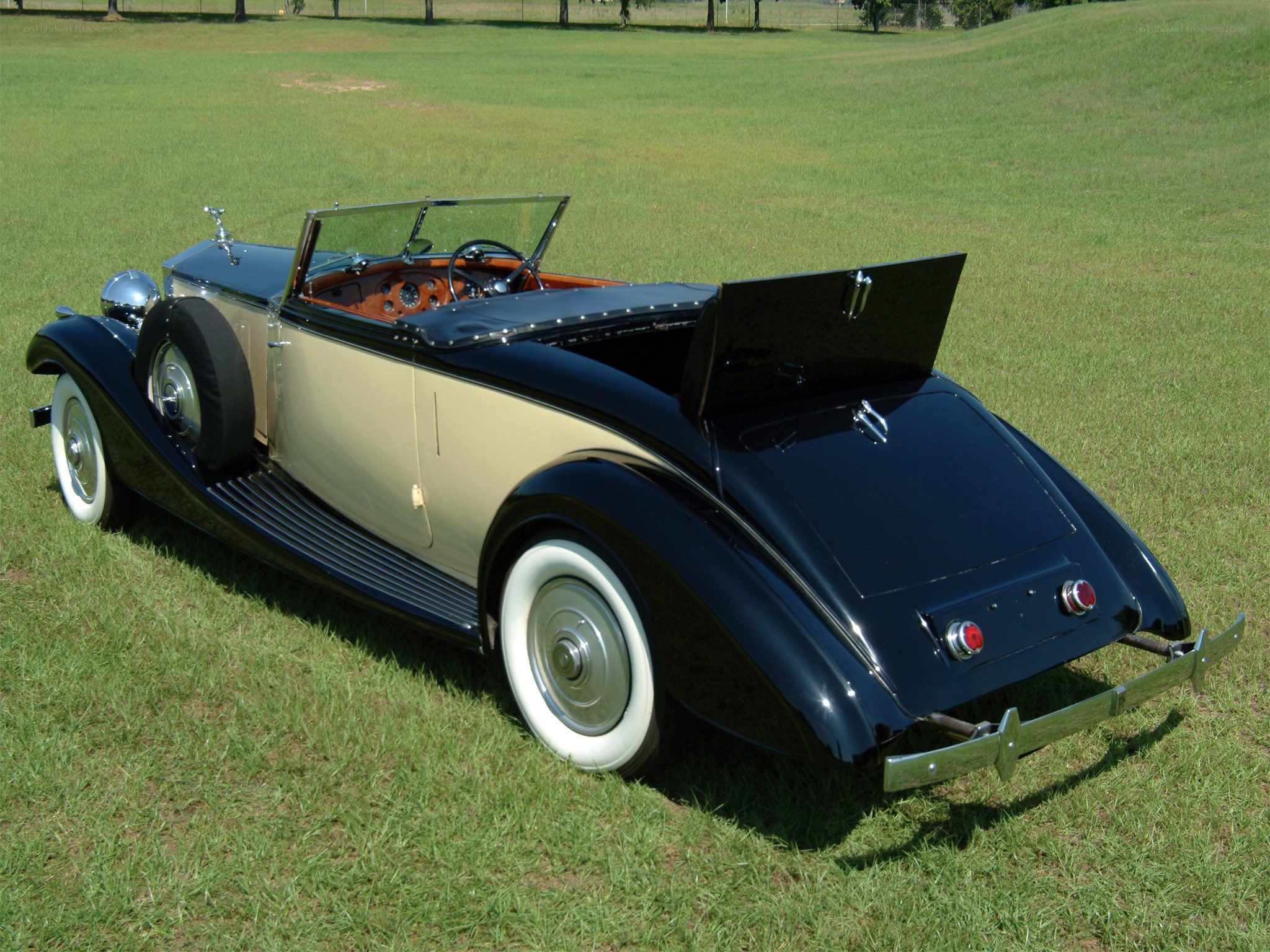 Classic convertible car on grass