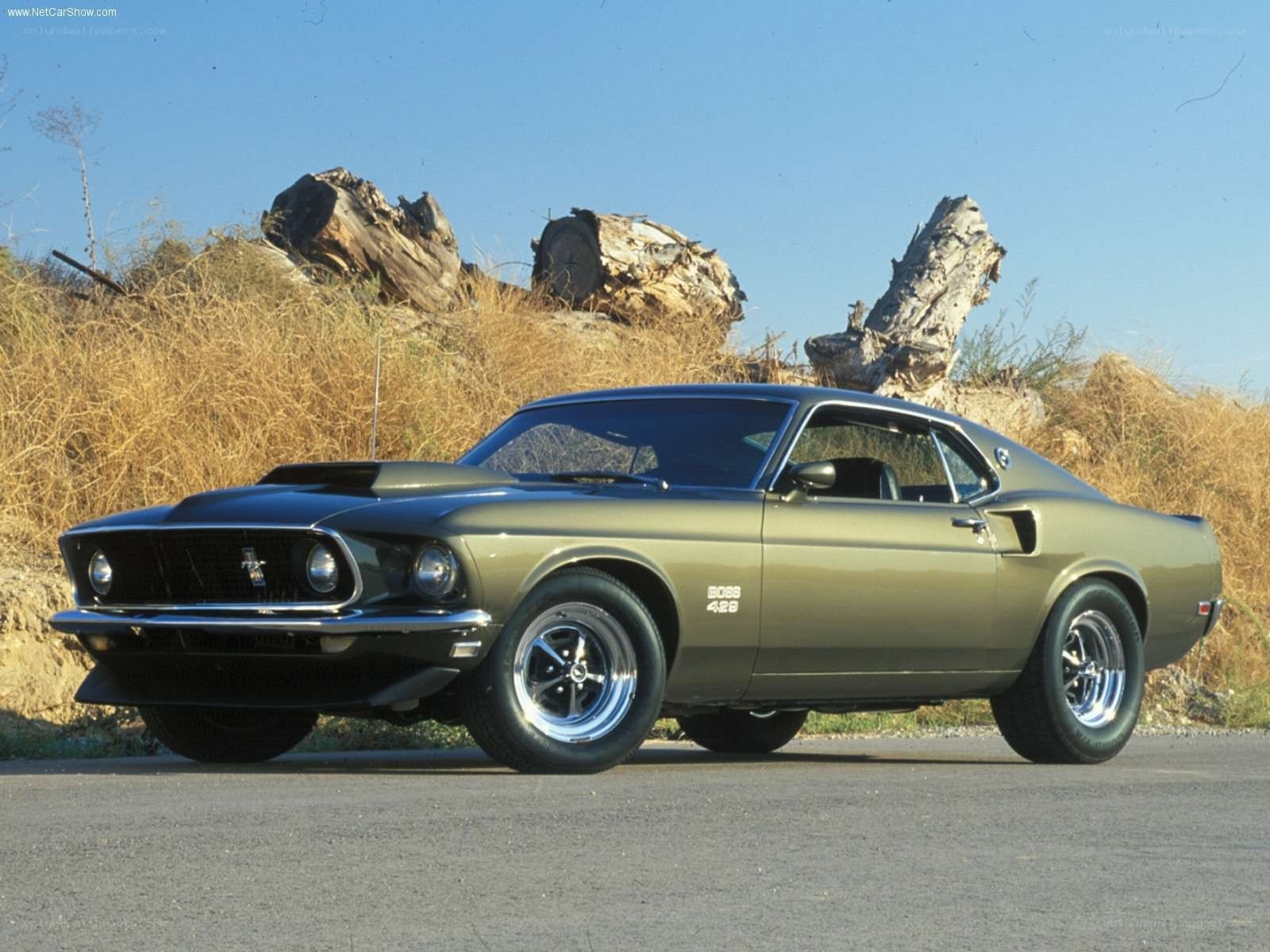 Classic Ford Mustang Boss 429