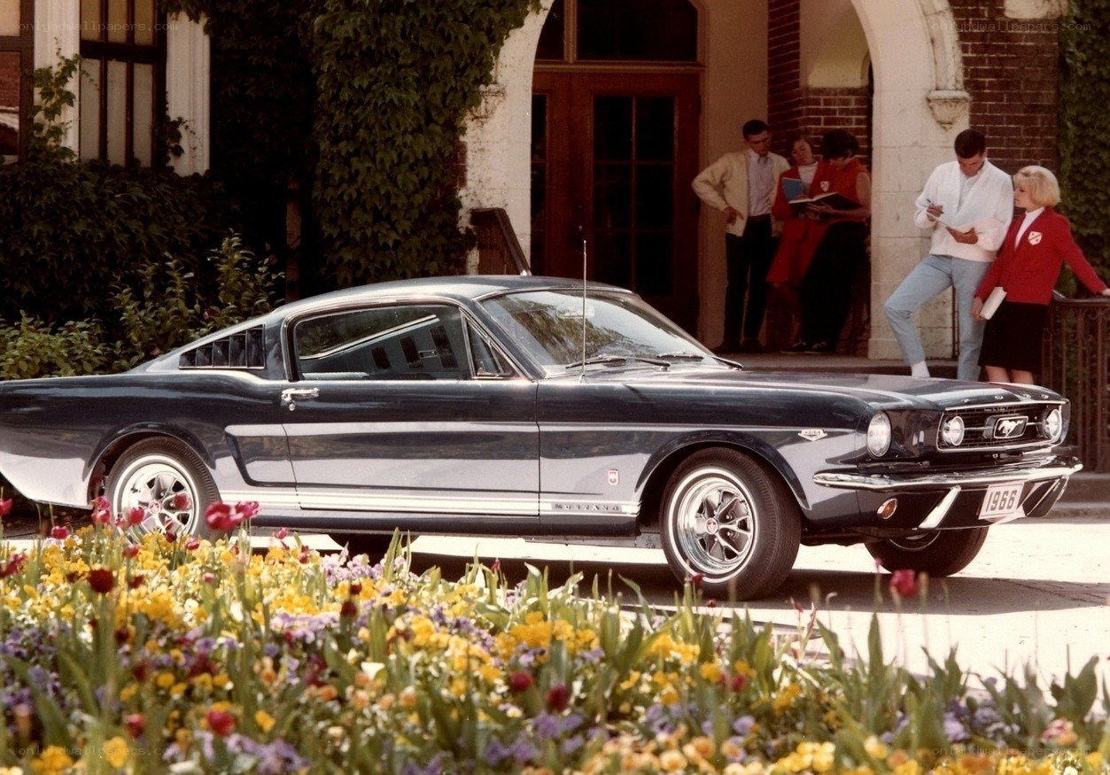 Classic Ford Mustang on display