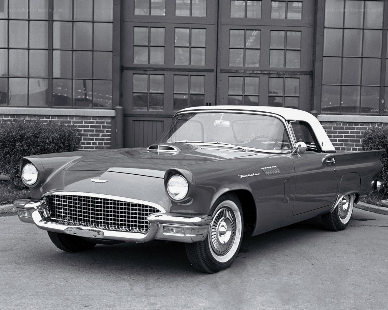 Classic Ford Thunderbird car