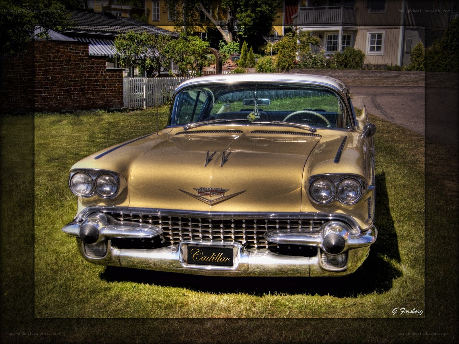 Classic gold Cadillac on grass