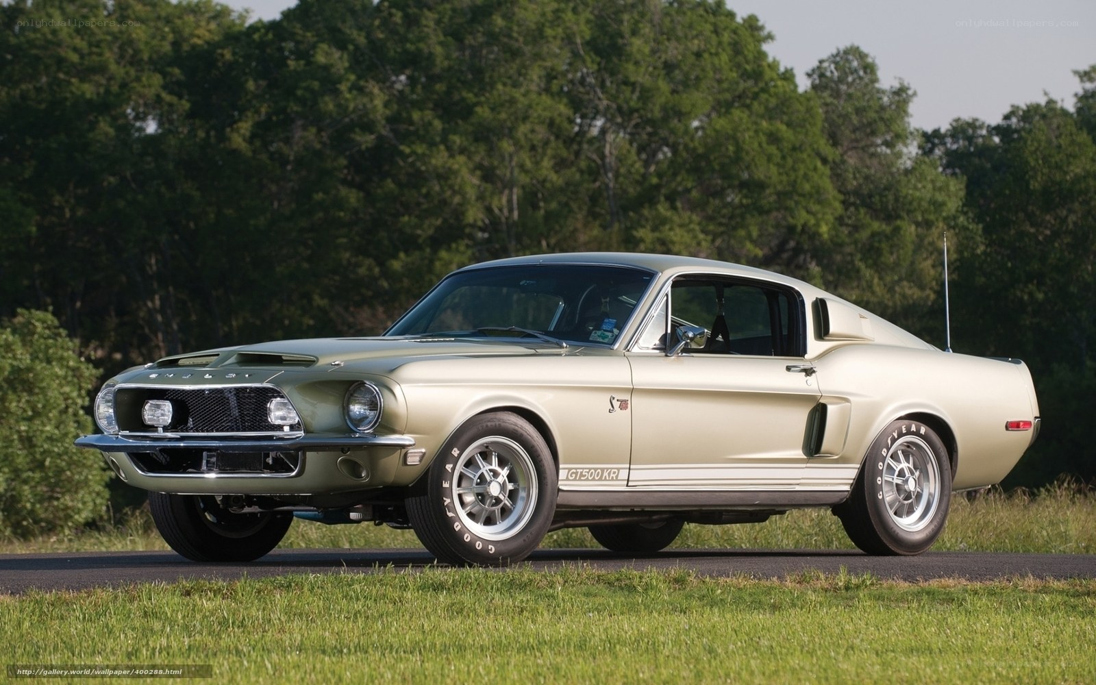 Classic gold muscle car