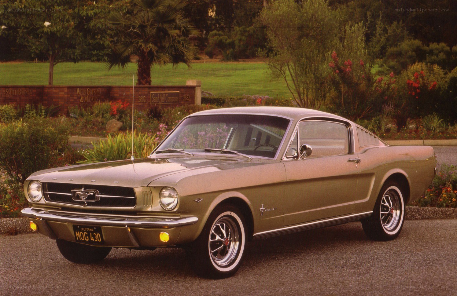 Classic green Ford Mustang
