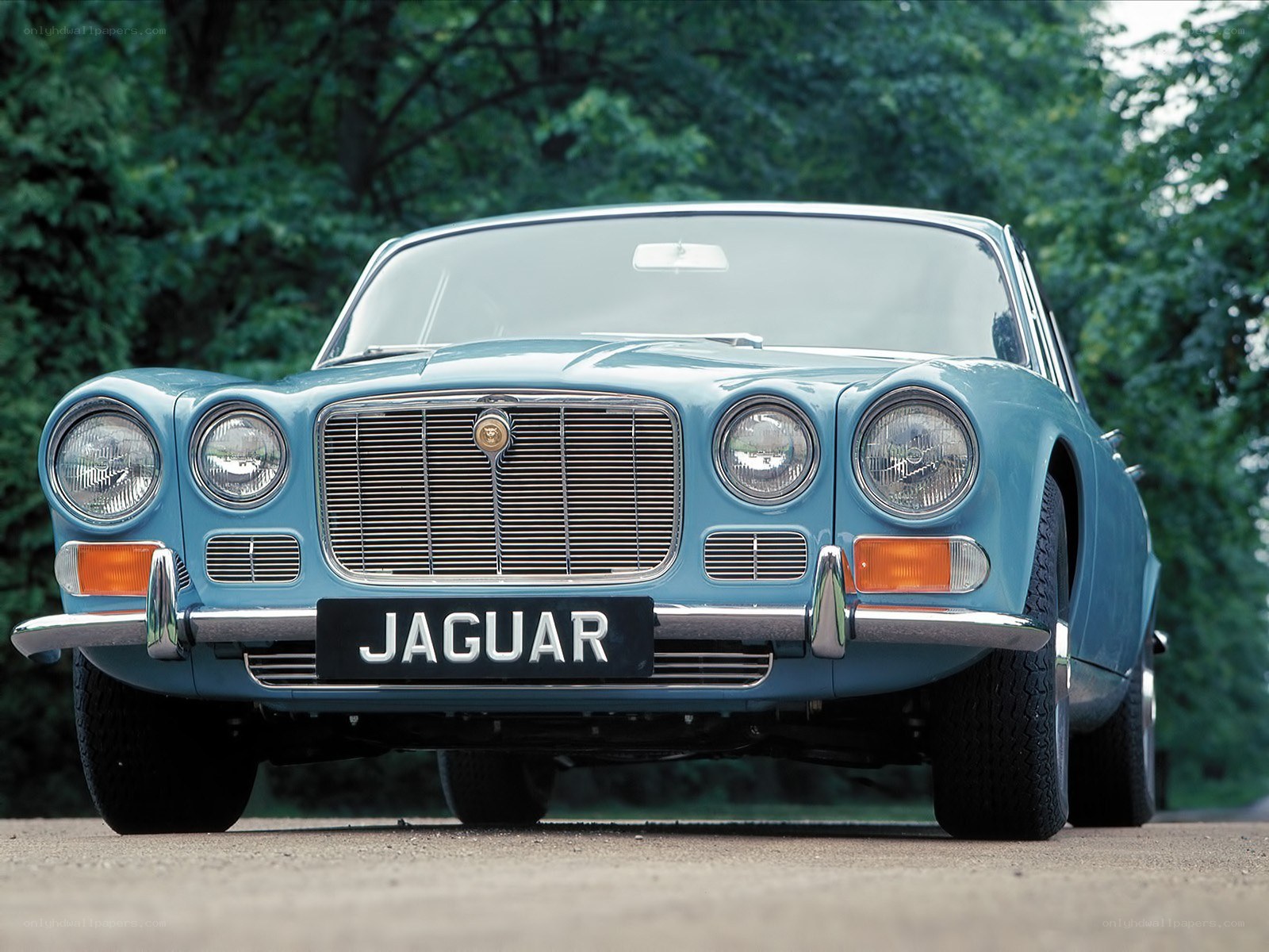 Classic Jaguar car front view
