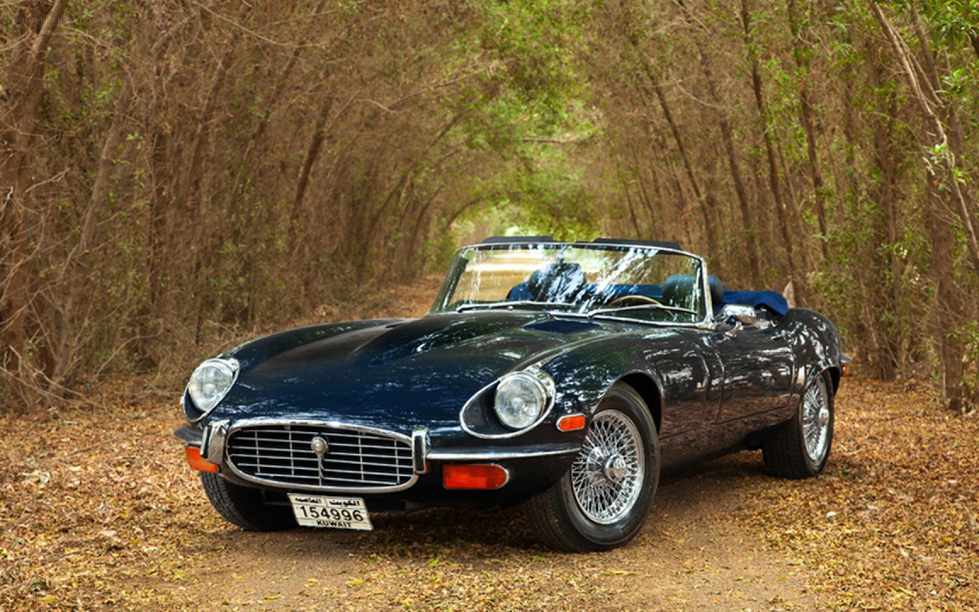 Classic Jaguar E-Type convertible