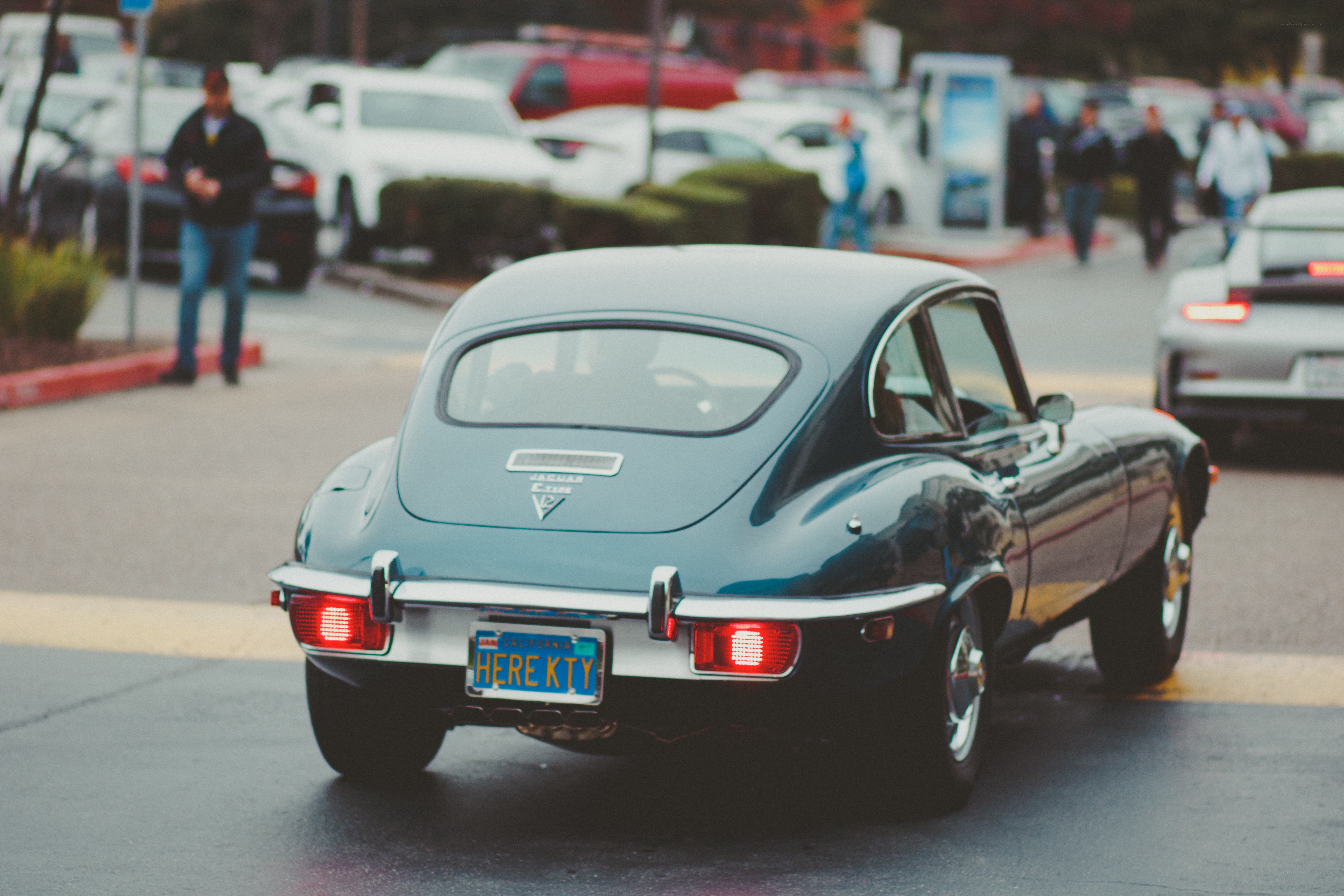 Classic Jaguar E-Type in motion